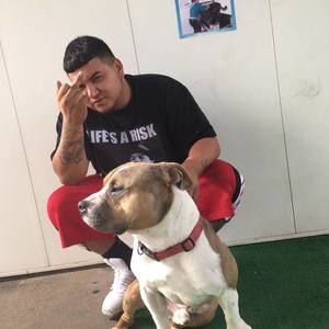 Meet your Posher, Manuel